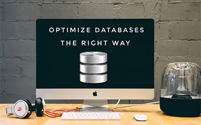 Optimize WordPress Database